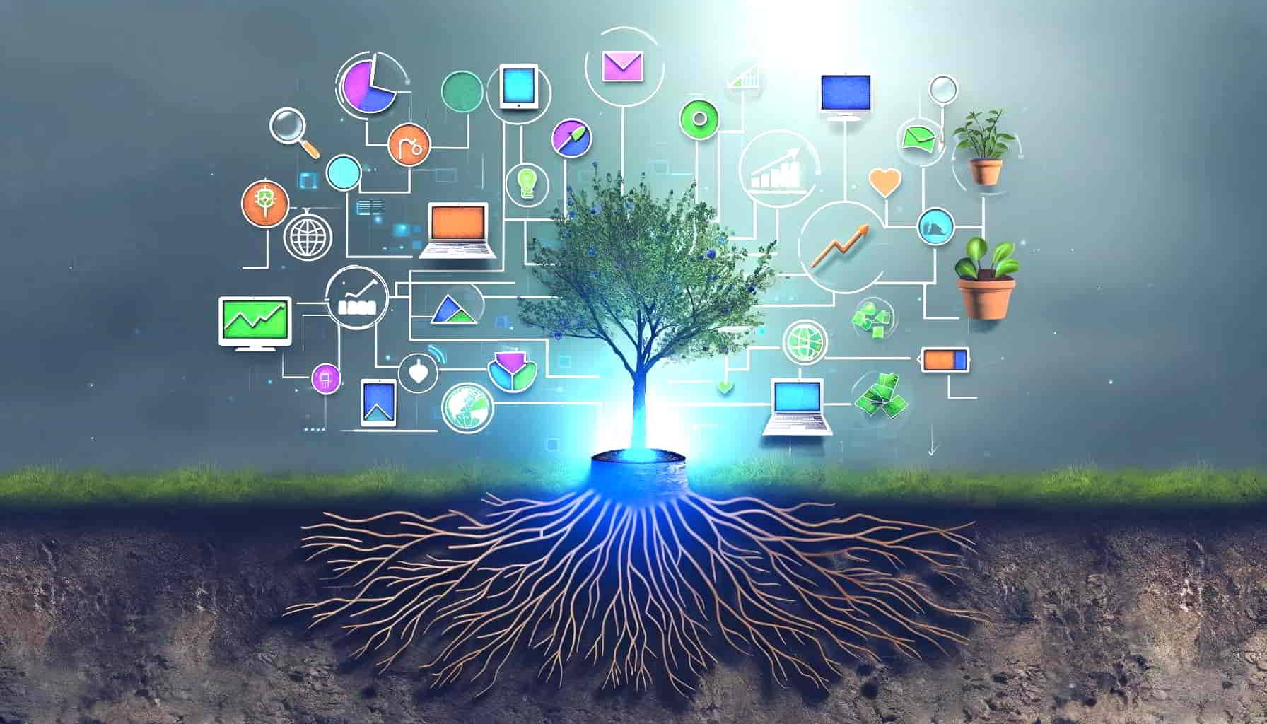 Image illustrates how a website can grow thriveand scale