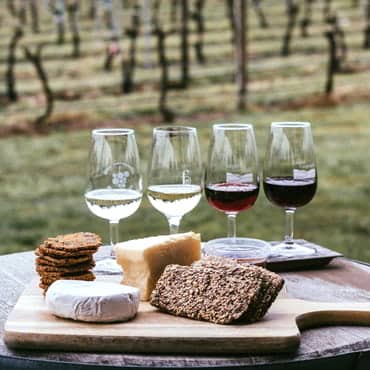 Wine and cheese tasting