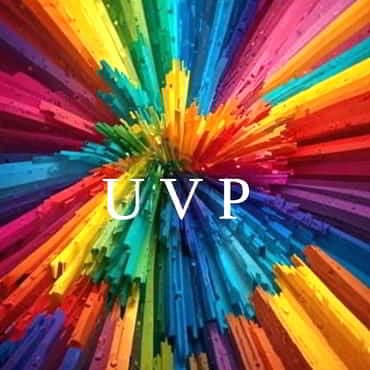 How To Find Your Unique Value Proposition For Niche Mastery UVP within a brand