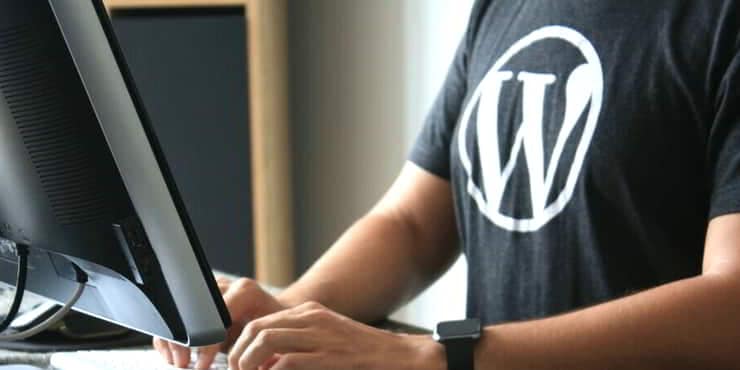 WordPress logo - build your first website